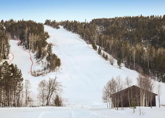 Stunning In With Wifi *